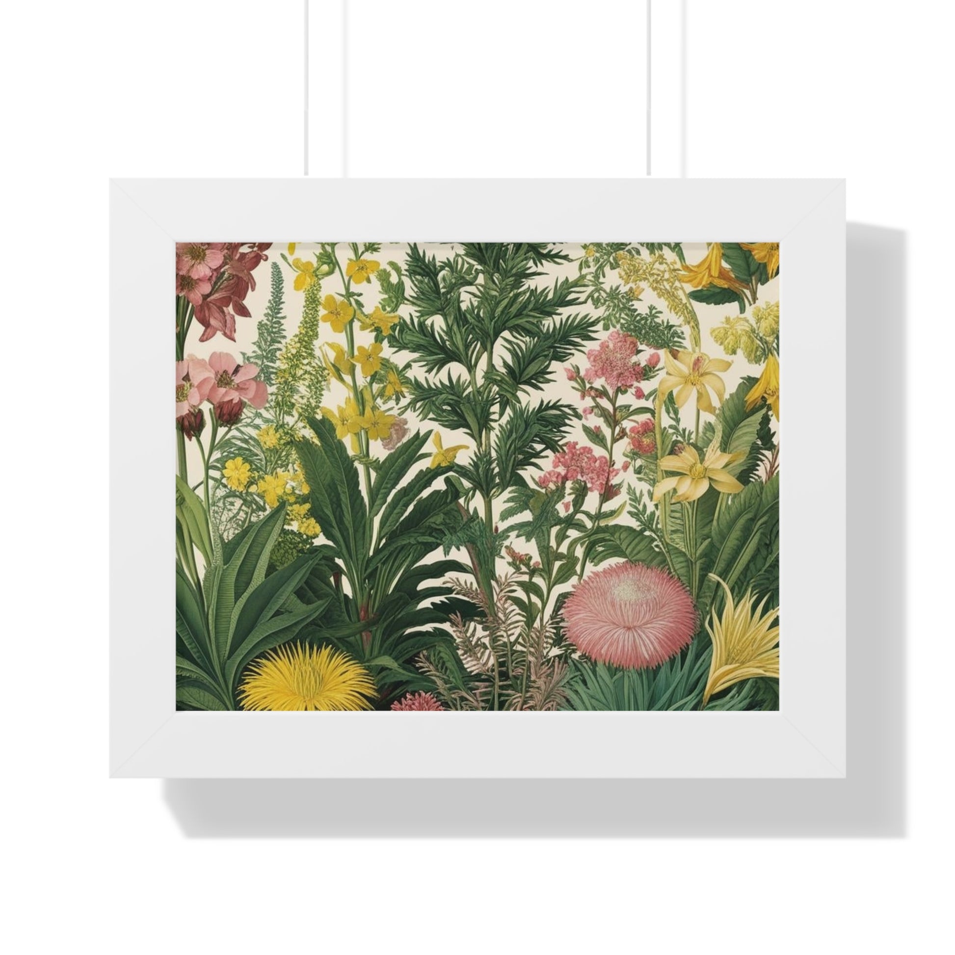 "Zinnia" – Framed Botanical Watercolor Print, Exclusive Botanical Series