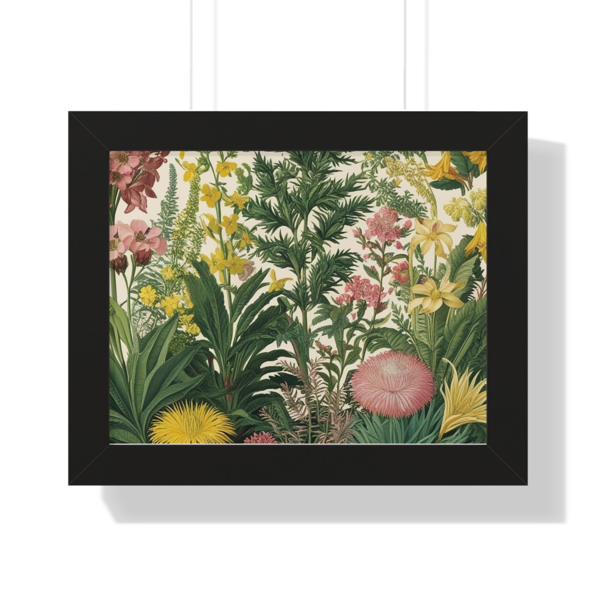 "Zinnia" – Framed Botanical Watercolor Print, Exclusive Botanical Series