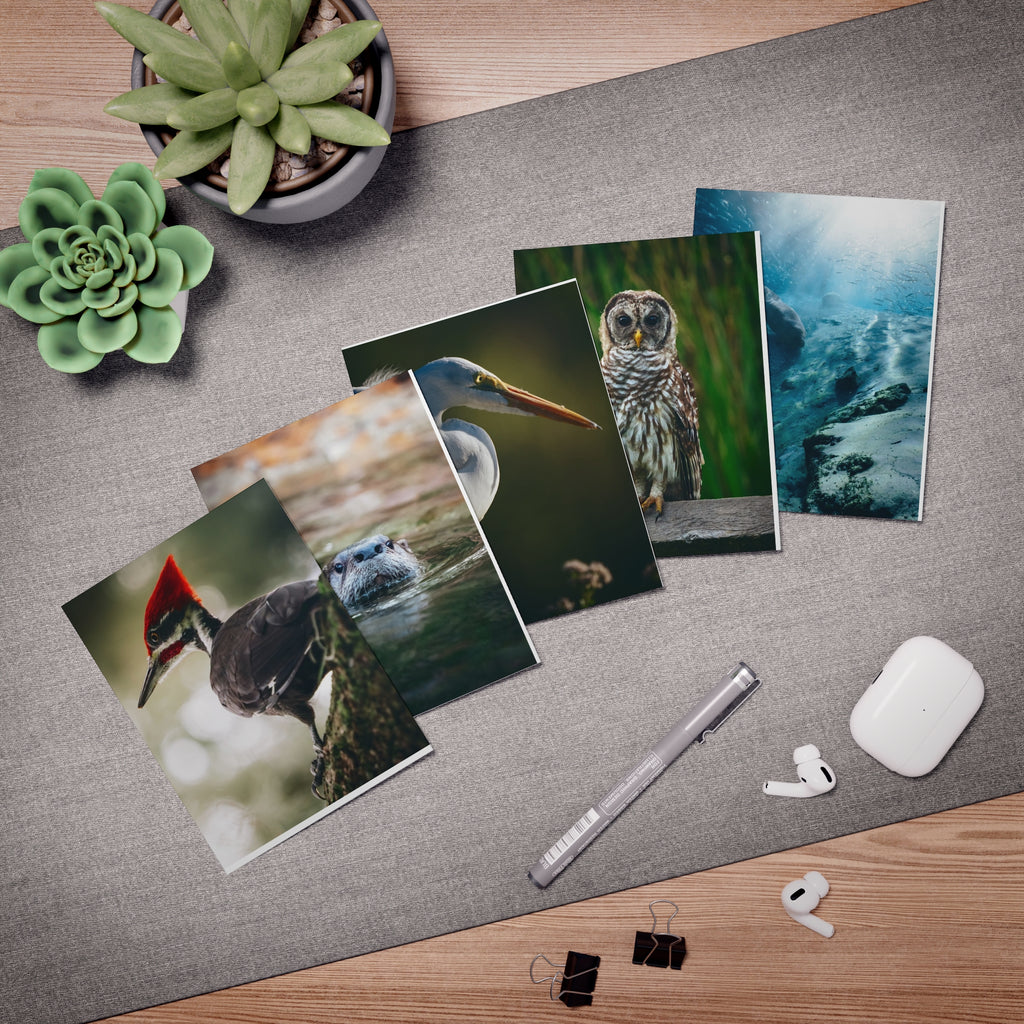 A Little Joy, A Lot of Heart – Capturing Nature’s Beauty by Josh Swander (5-Pack)