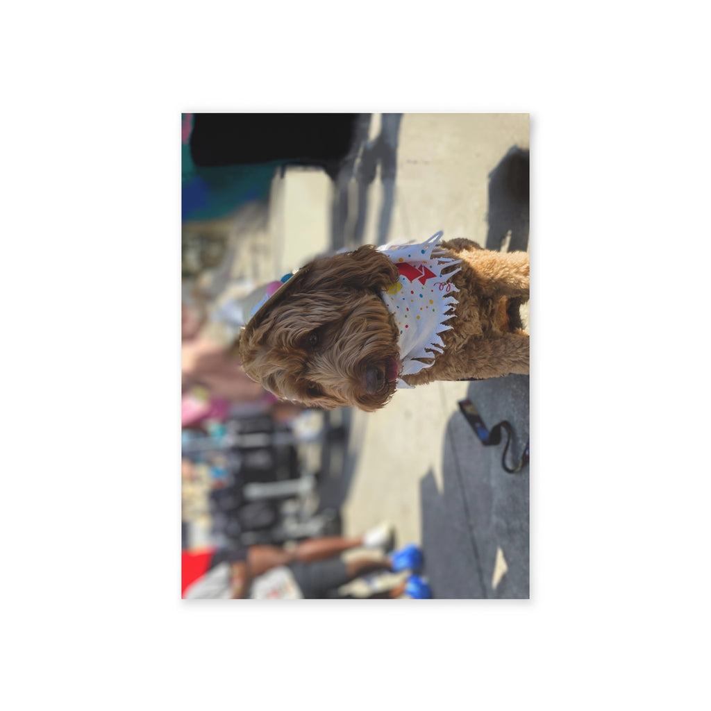 "Birthday Pup in Style" - Whimsical Holiday Cards for Pet Lovers - One-Sided Prints Featuring Festive Dogs