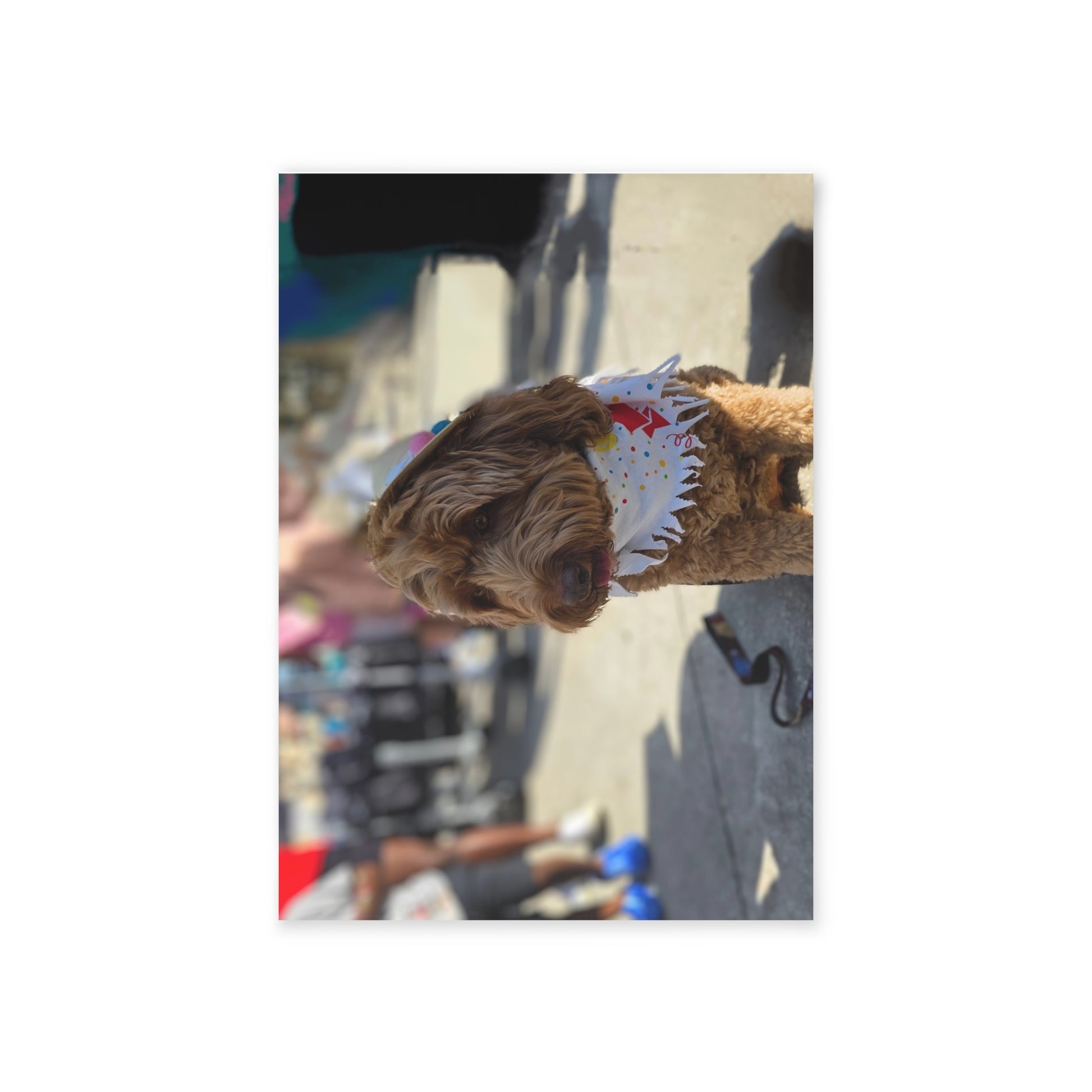 "Birthday Pup in Style" - Whimsical Holiday Cards for Pet Lovers - One-Sided Prints Featuring Festive Dogs