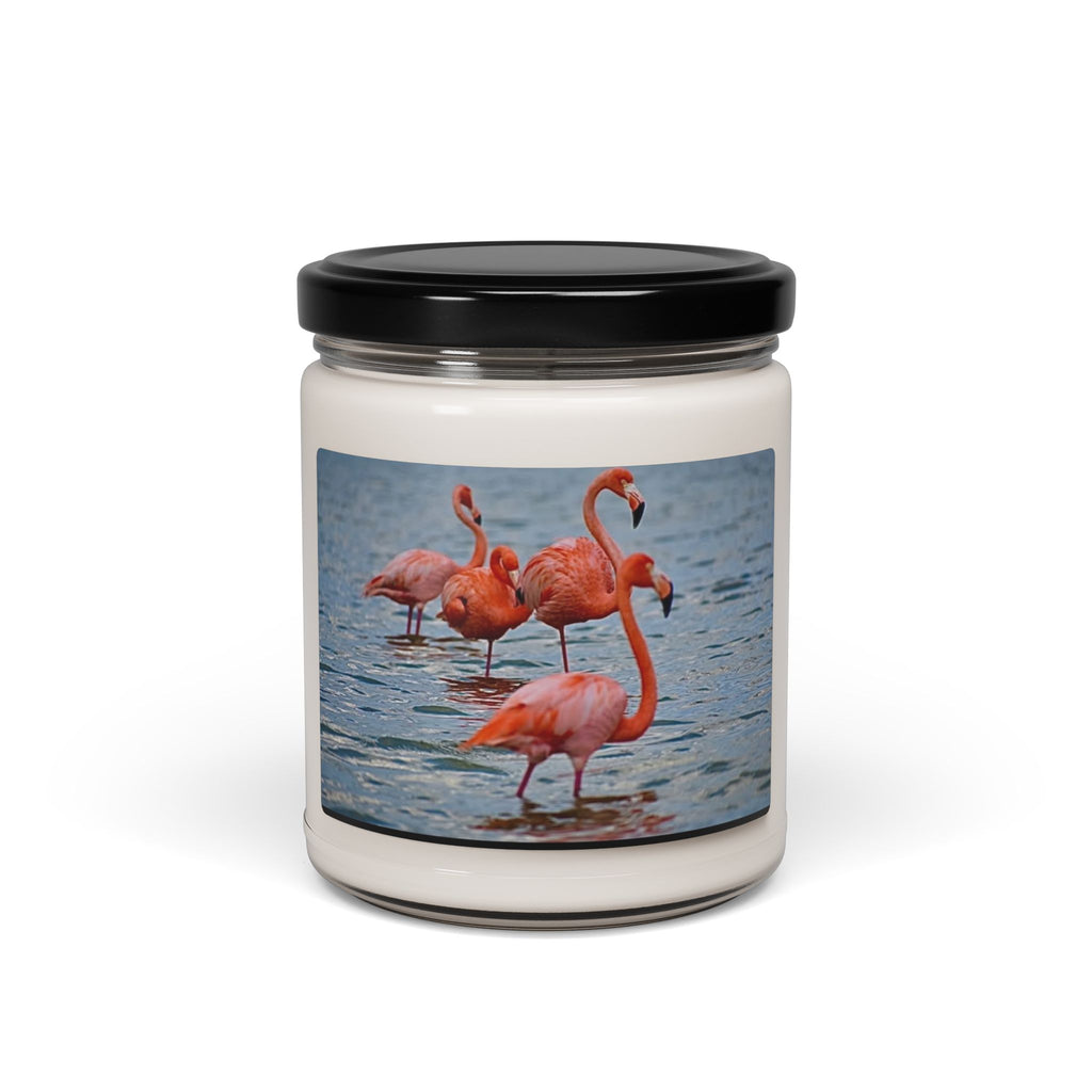 Scented Soy Candle, 9oz