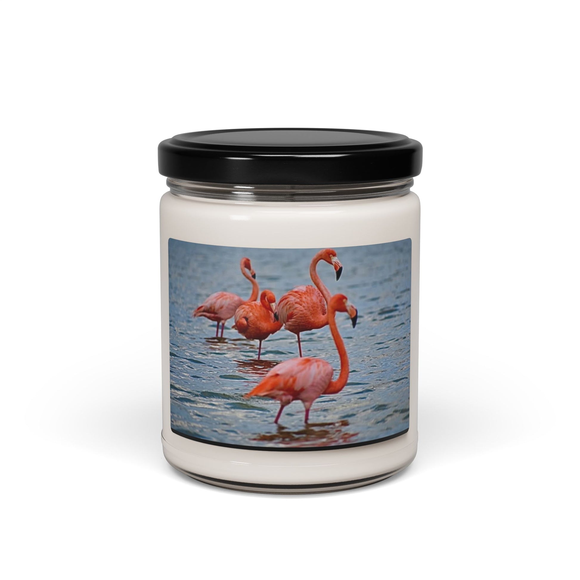 Scented Soy Candle, 9oz