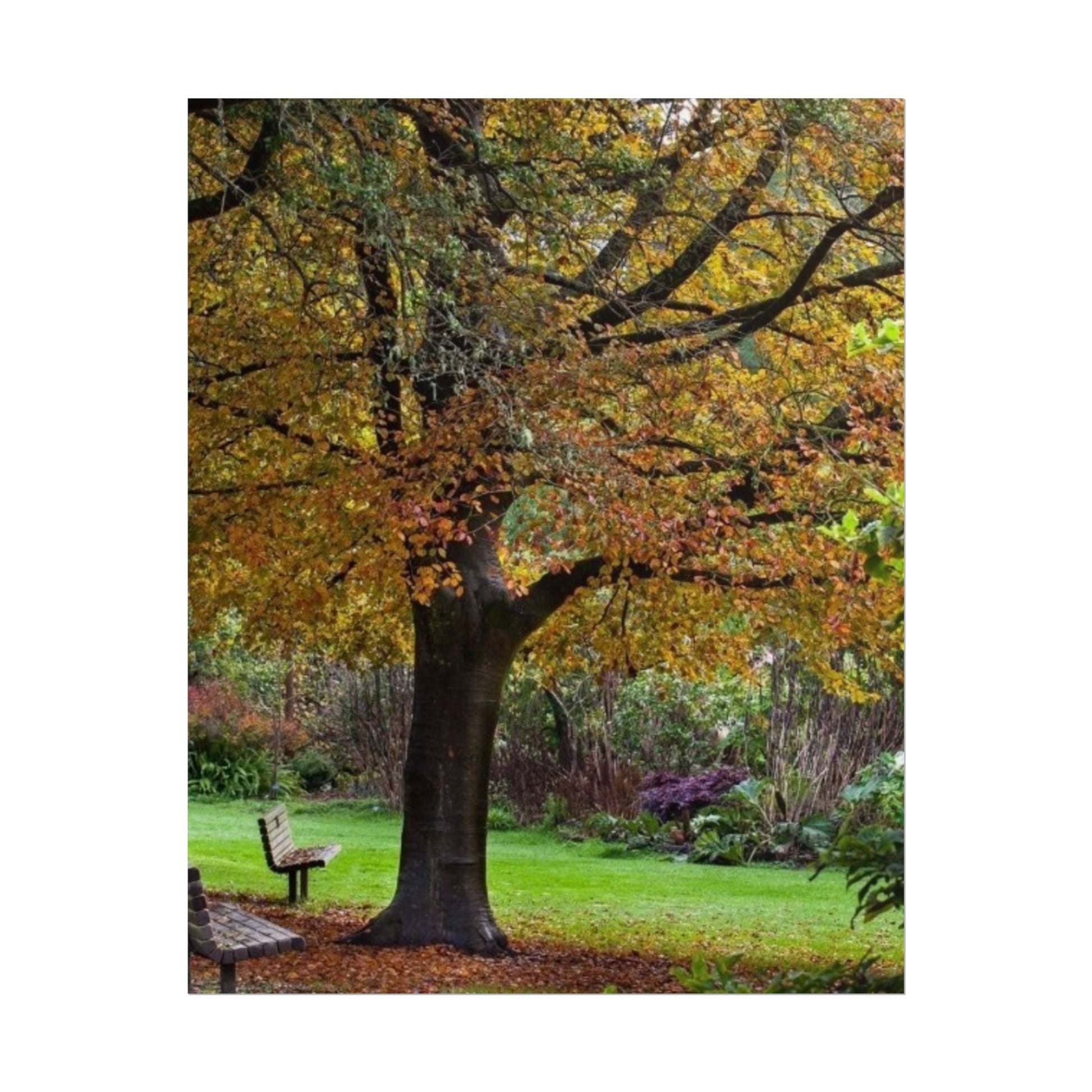 Autumn Serenity Rolled Poster - Cozy Nature Decor for Home & Office