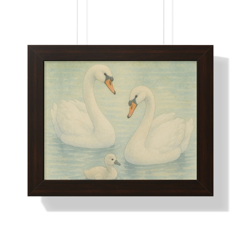 "Swan Family Serenity" – Vintage Framed 14x11 Poster