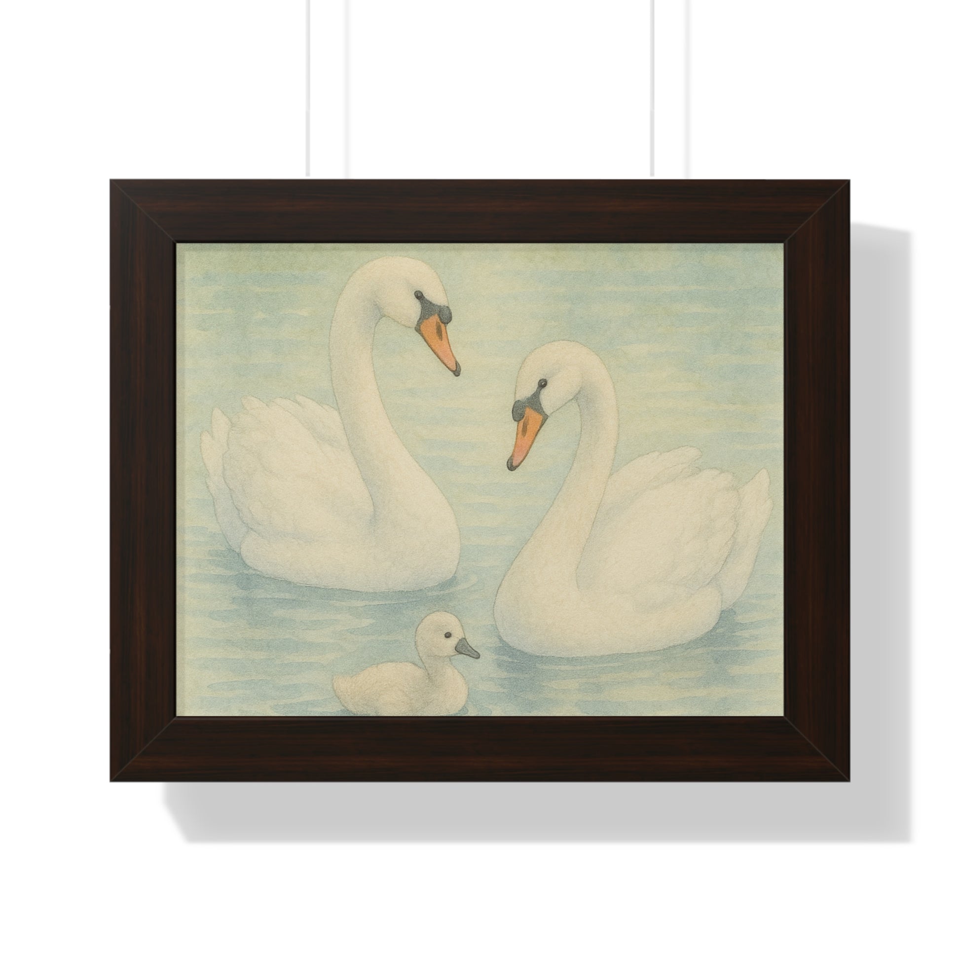"Swan Family Serenity" – Vintage Framed 14x11 Poster