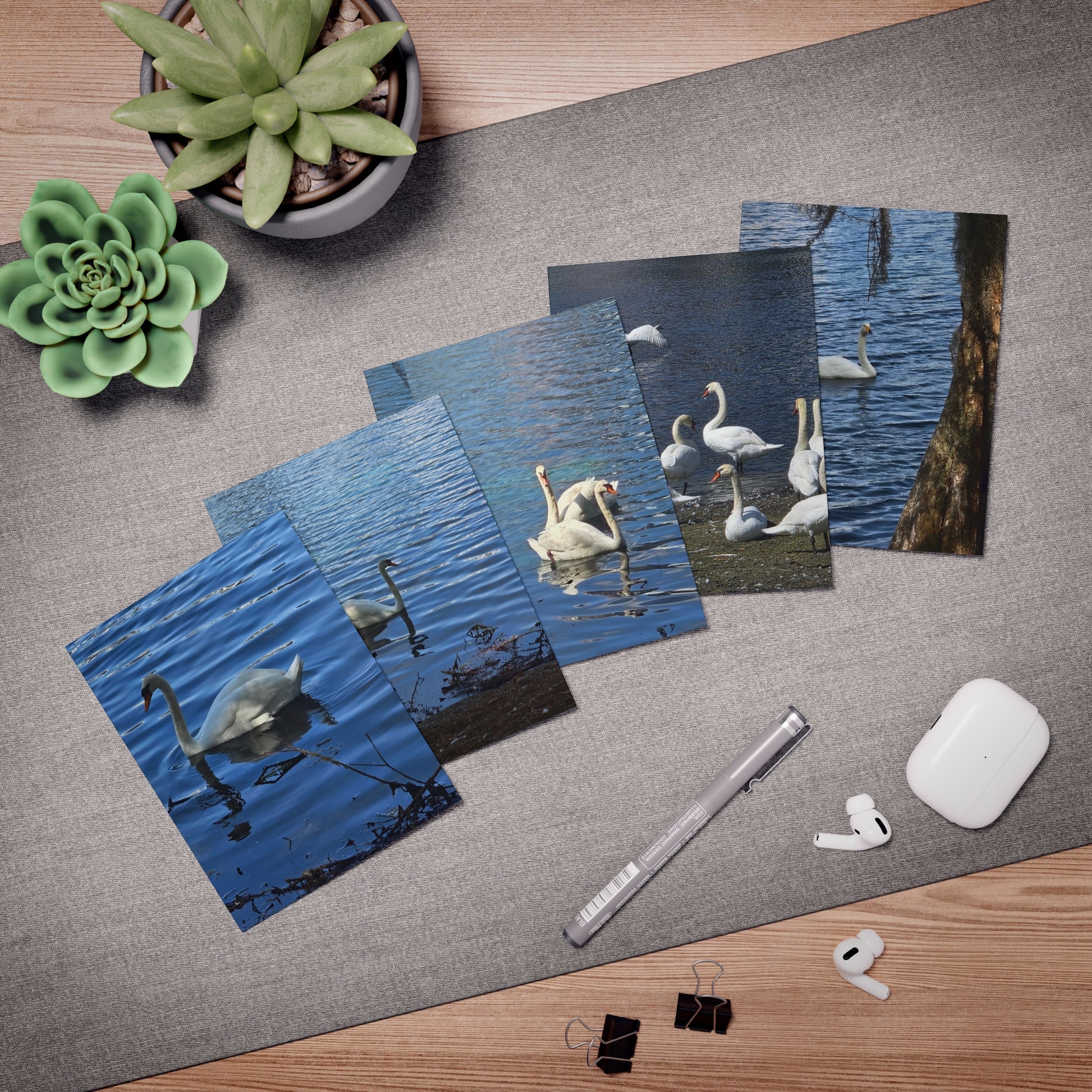 Elegant Swan Note Cards – Tranquil Lake Bird Photography Stationery Set
