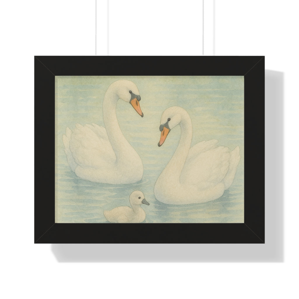 "Swan Family Serenity" – Vintage Framed 14x11 Poster