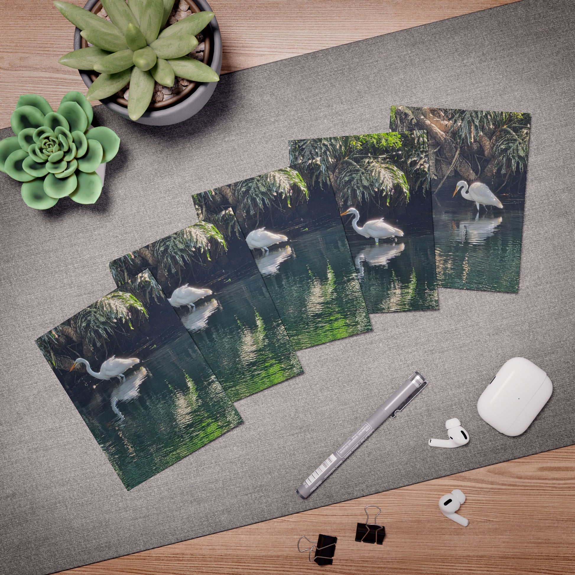 Great Egret Reflection Note Cards – Serene Water Bird Photography Set of 5