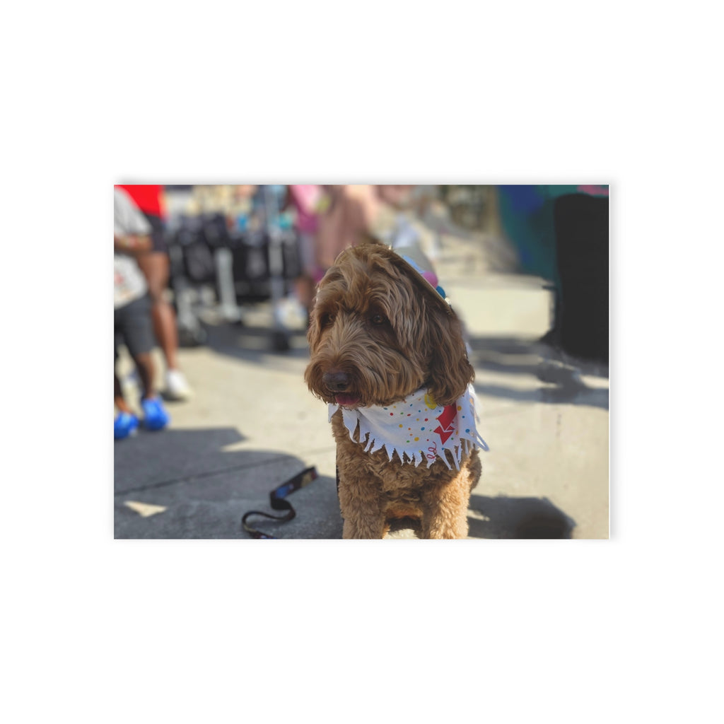 "Birthday Pup in Style" - Whimsical Holiday Cards for Pet Lovers - One-Sided Prints Featuring Festive Dogs