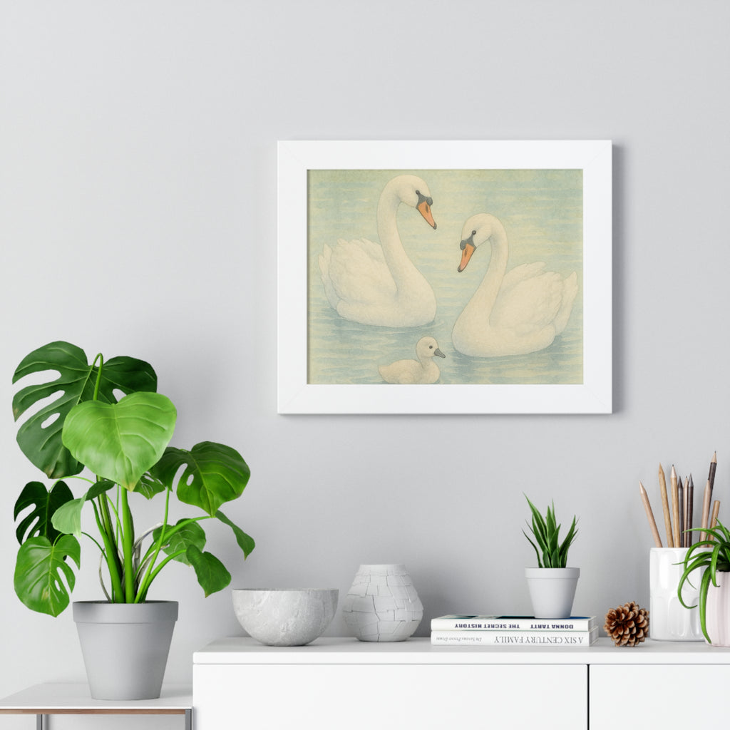 "Swan Family Serenity" – Vintage Framed 14x11 Poster