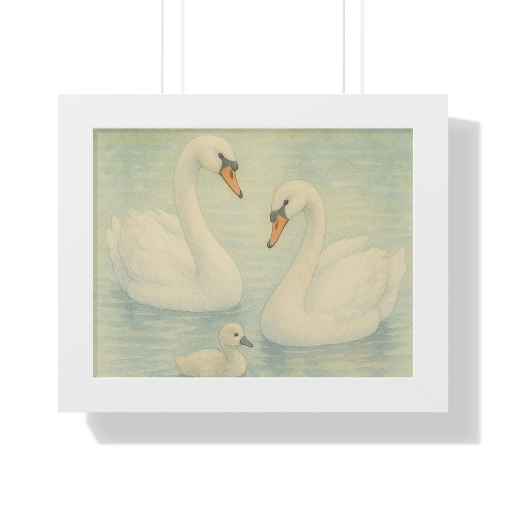 "Swan Family Serenity" – Vintage Framed 14x11 Poster